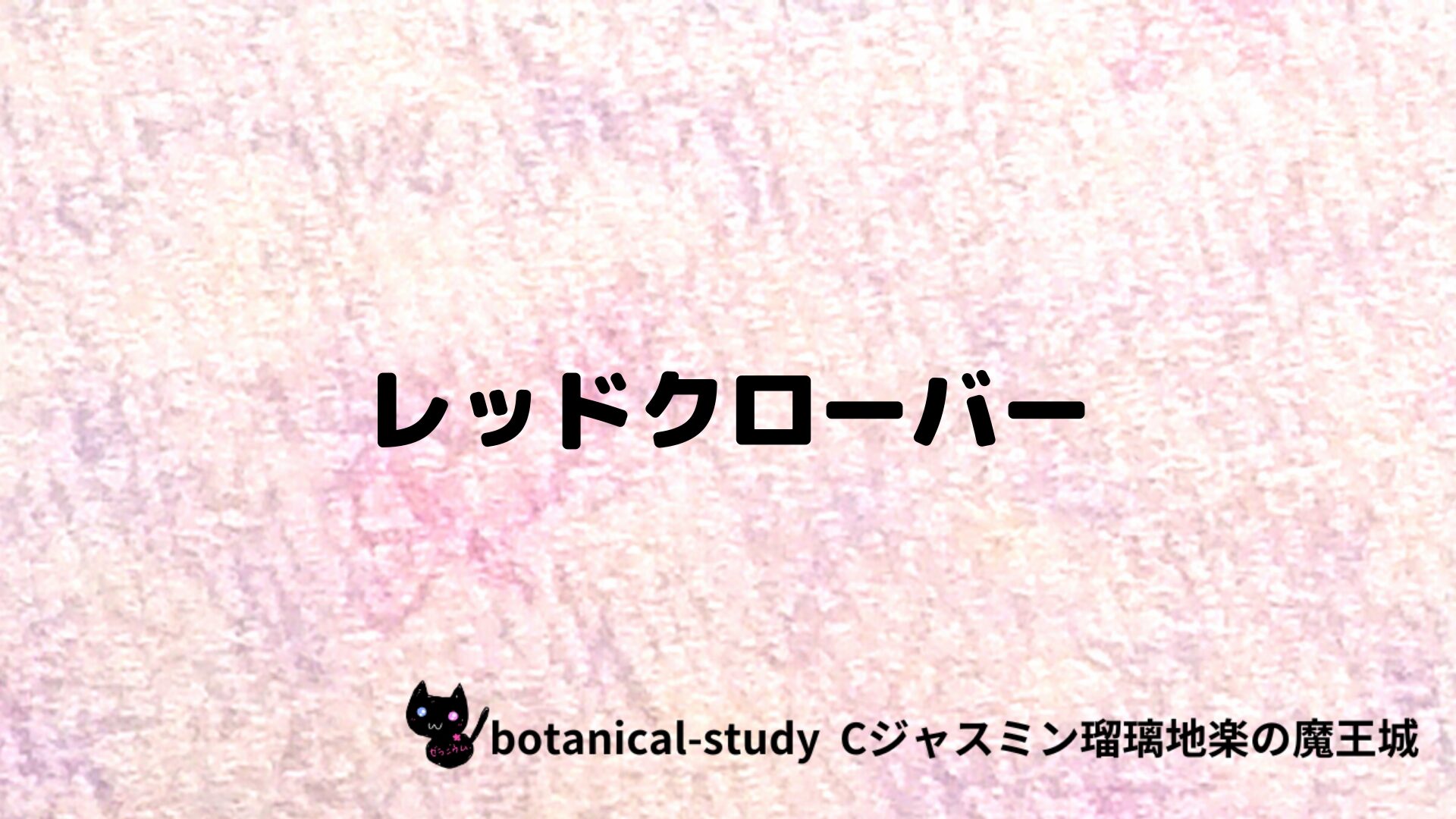 レッドクローバーのアロマハーブプチ辞典クイズ用アイキャッチ＠botanical-study/ハーブ