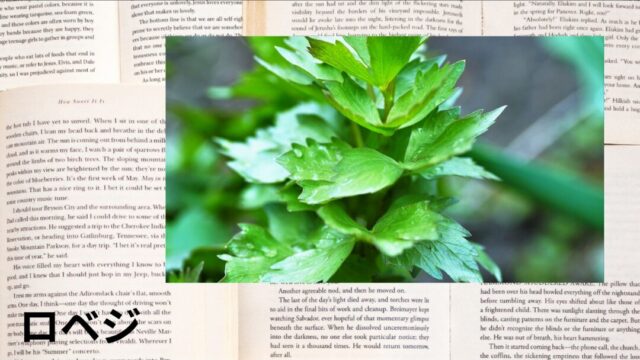 ロべジ：プチ辞典