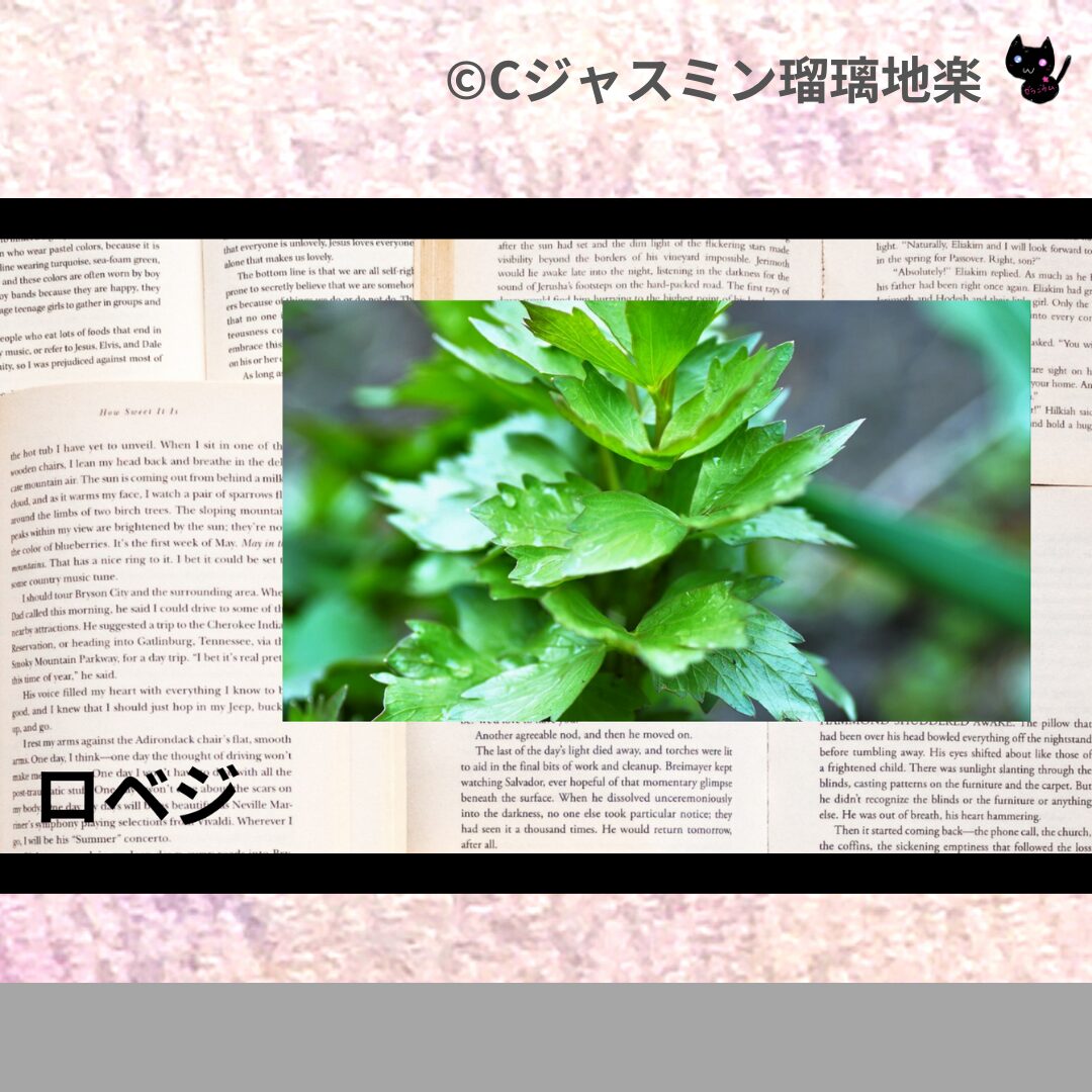ロベジのアロマハーブプチ辞典クイズ用アイキャッチ@botanical-study/ハーブ