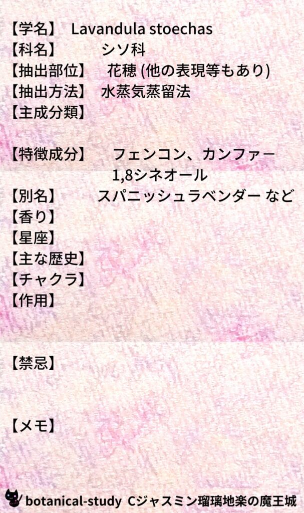 ラベンダー・ストエカスとCジャスミン瑠璃地楽のアロマハーブプチ辞典＠botanical-study