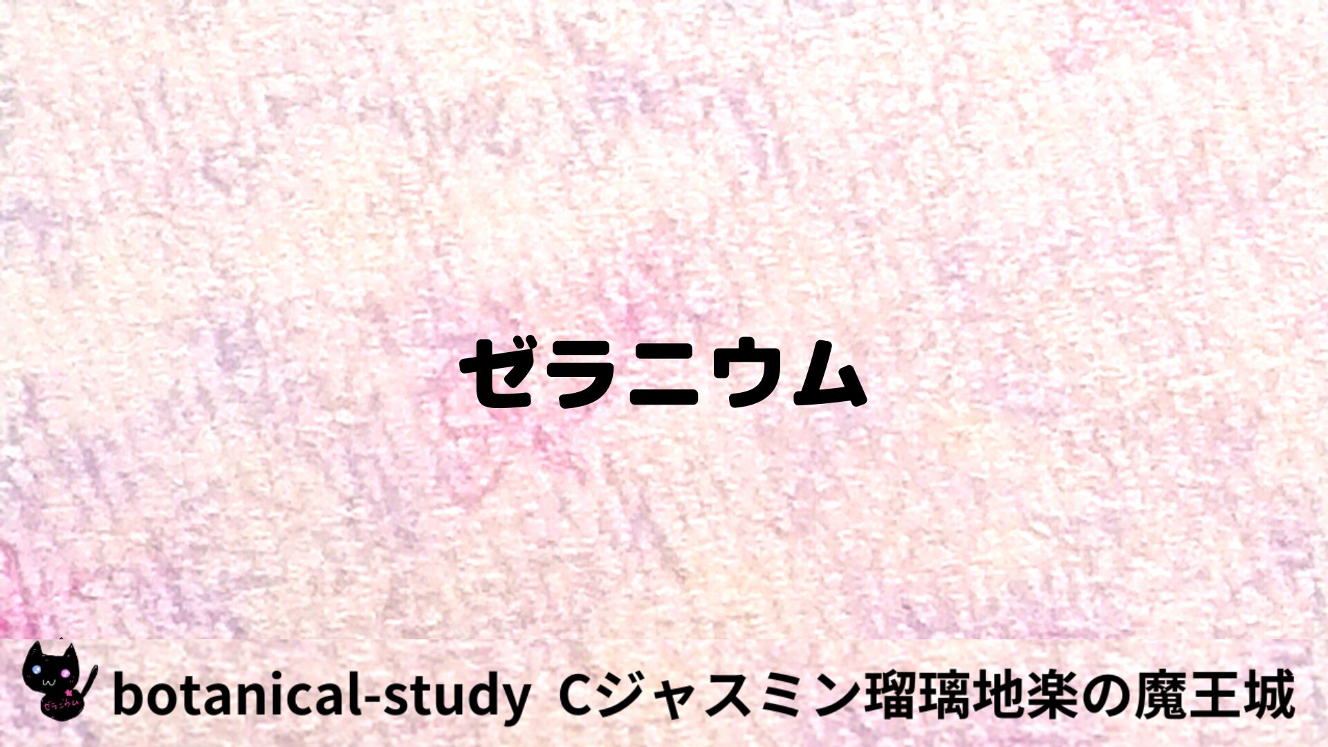 ゼラニウムのアロマハーブプチ辞典用アイキャッチ＠botanical-study/ハーブ