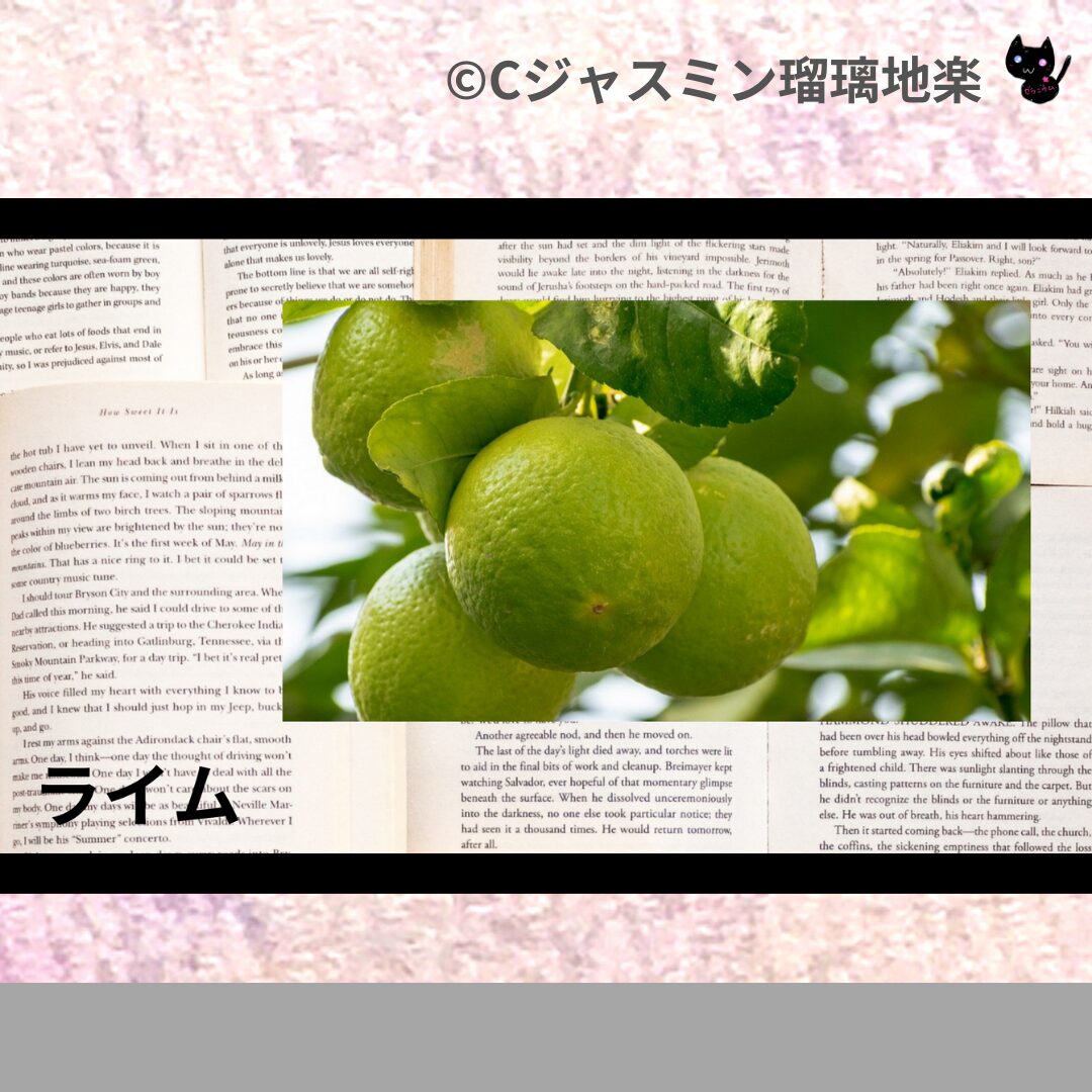 ライムのアロマハーブプチ辞典クイズ用アイキャッチ＠botanical-study