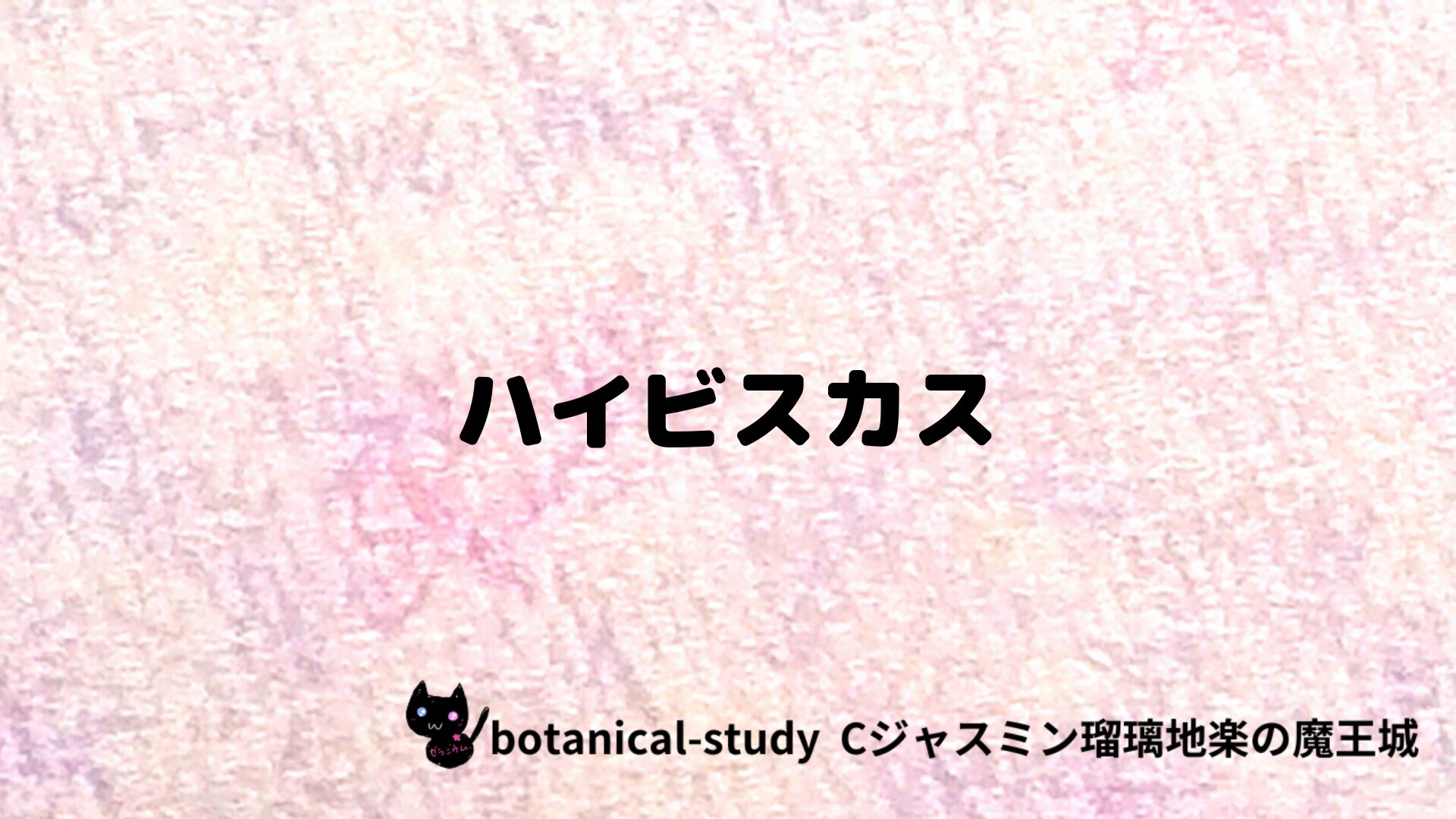 ハイビスカスのアロマハーブプチ辞典クイズ用アイキャッチ＠botanical-study/ハーブ