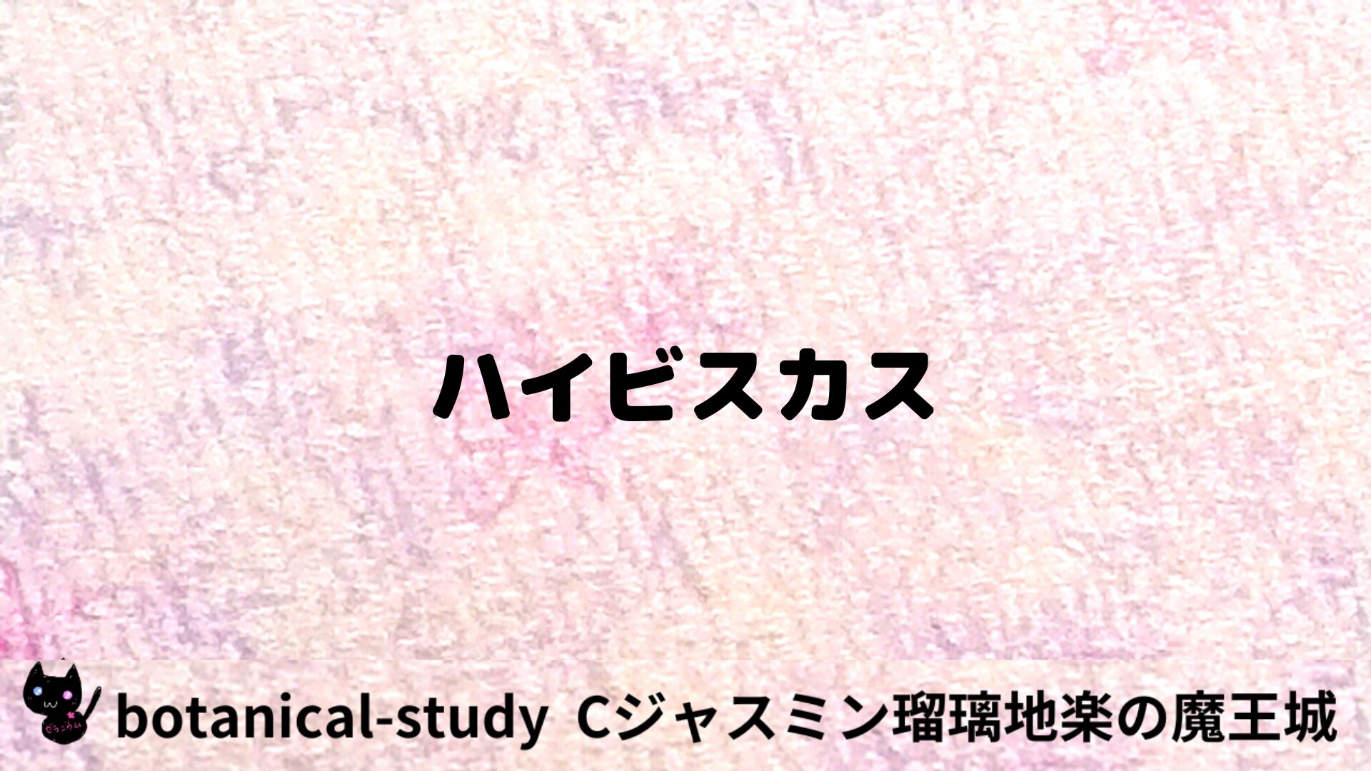 ハイビスカスのアロマハーブプチ辞典用アイキャッチ＠botanical-study/ハーブ