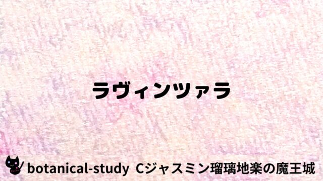 ラヴィンツァラ：プチ辞典