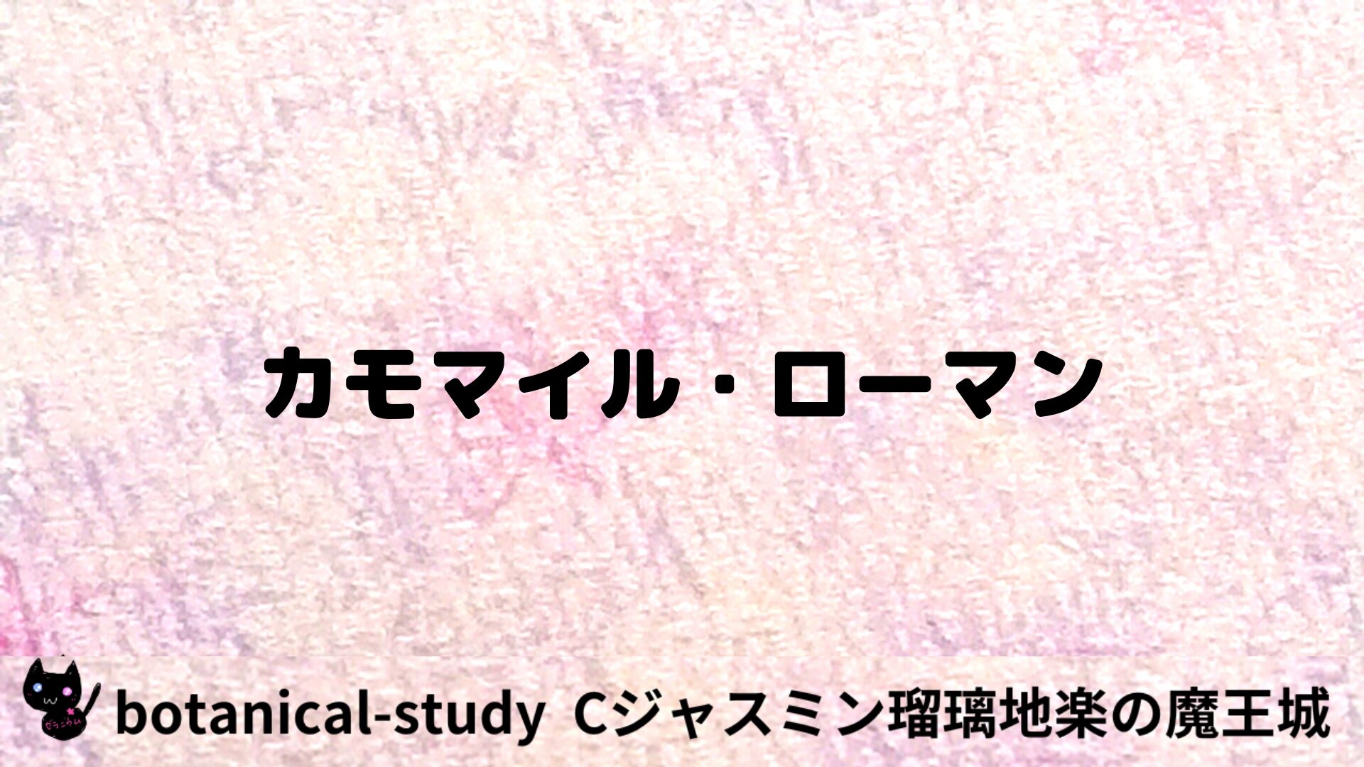 カモマイル・ローマンのアロマハーブプチ辞典用アイキャッチ＠botanical-study/ハーブ