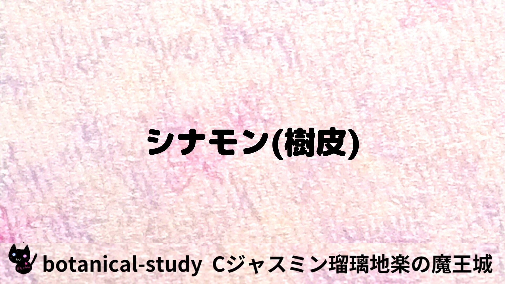 シナモン樹皮のアロマハーブプチ辞典用アイキャッチ＠botanical-study