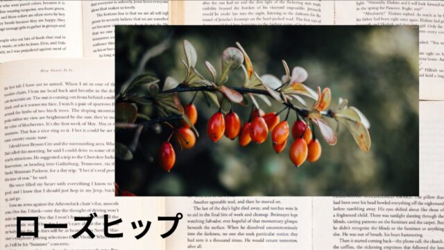 ローズヒップ：プチ辞典