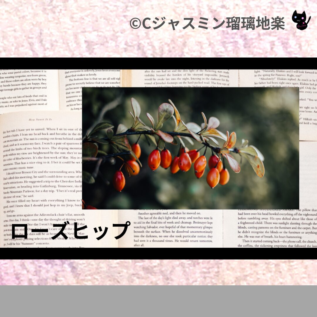 ファーナスペレットのアロマハーブプチ辞典クイズ用アイキャッチ＠botanical-study