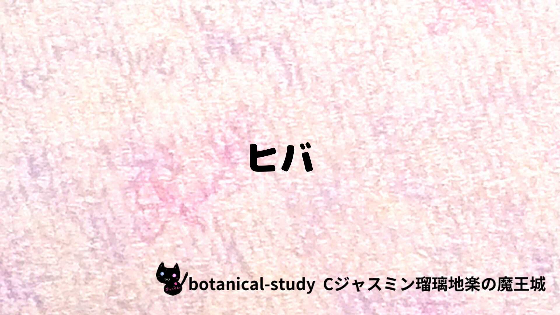 ヒバのアロマハーブプチ辞典クイズ用アイキャッチ＠botanical-study