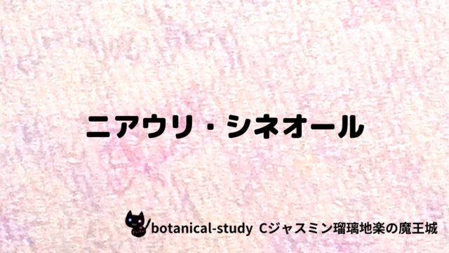 ニアウリ・シネオール：プチ辞典クイズ