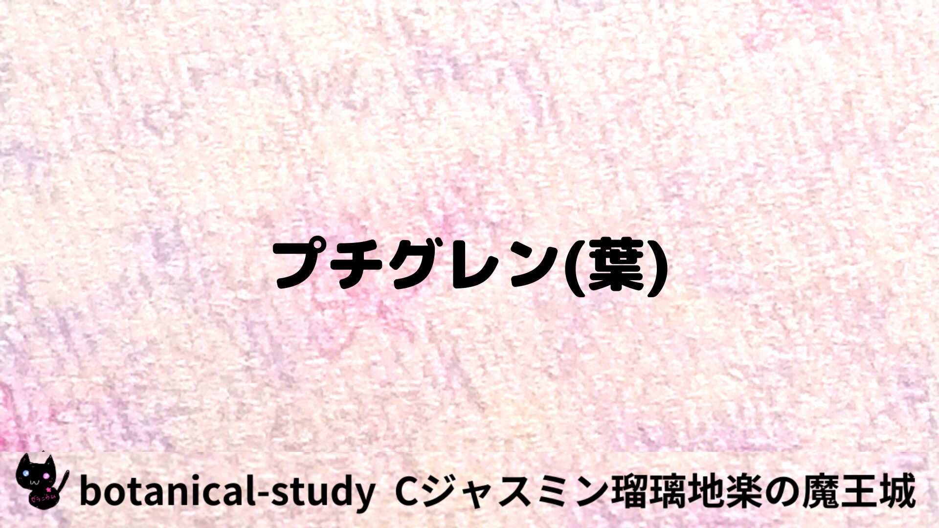 プチグレン（葉）のアロマハーブプチ辞典用アイキャッチ＠botanical-study