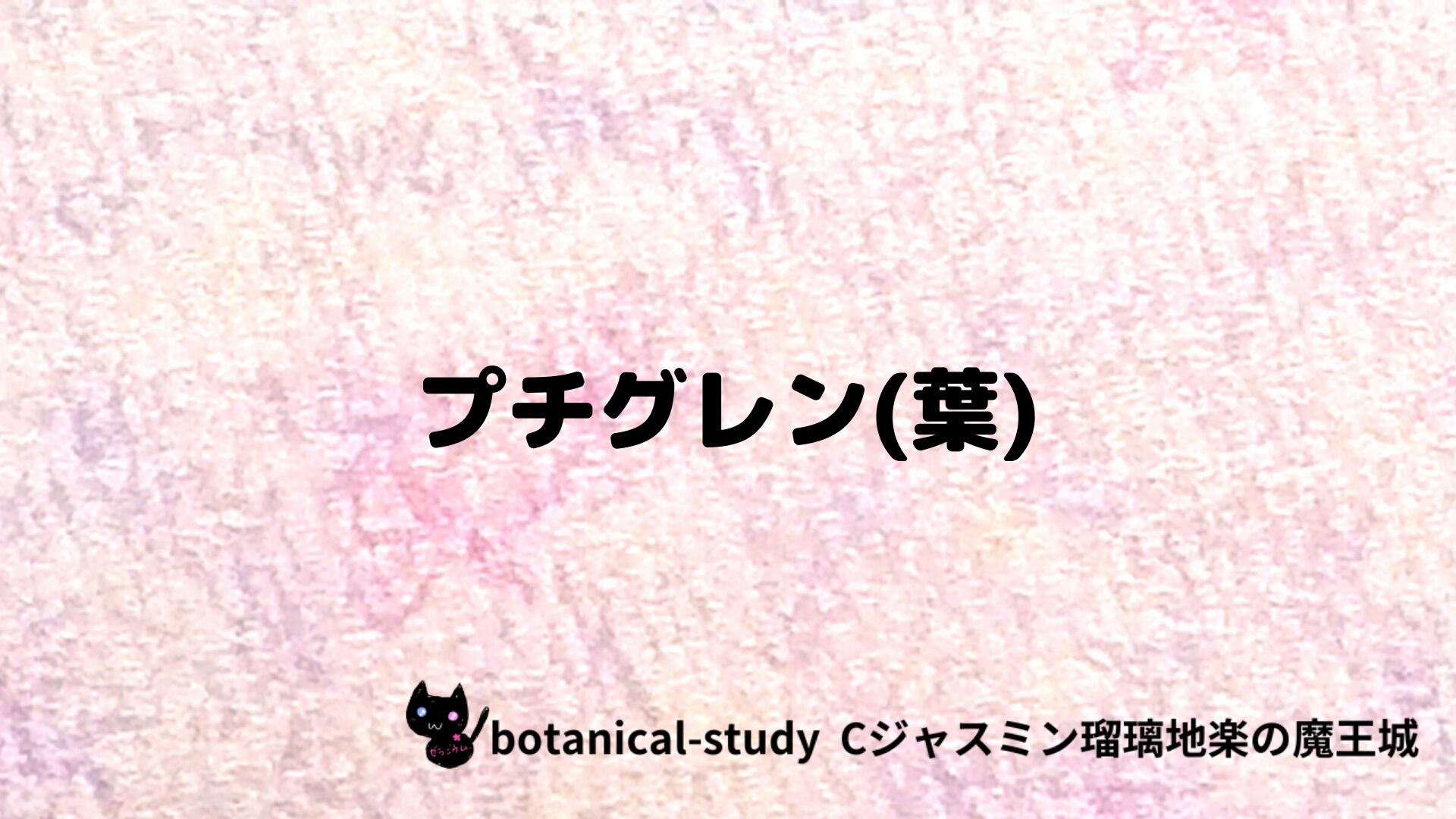 プチグレン（葉）のアロマハーブプチ辞典クイズ用アイキャッチ＠botanical-study