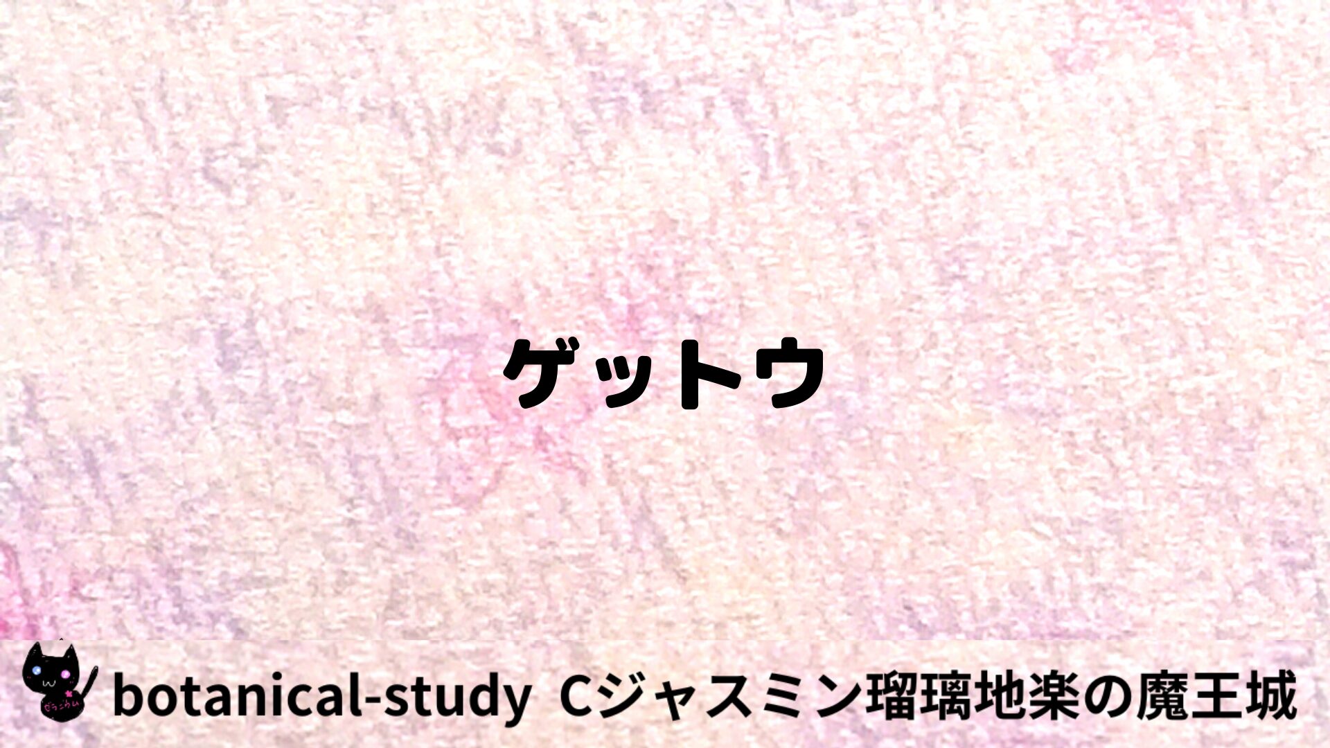 ゲットウのアロマハーブプチ辞典用アイキャッチ＠botanical-study/ハーブ