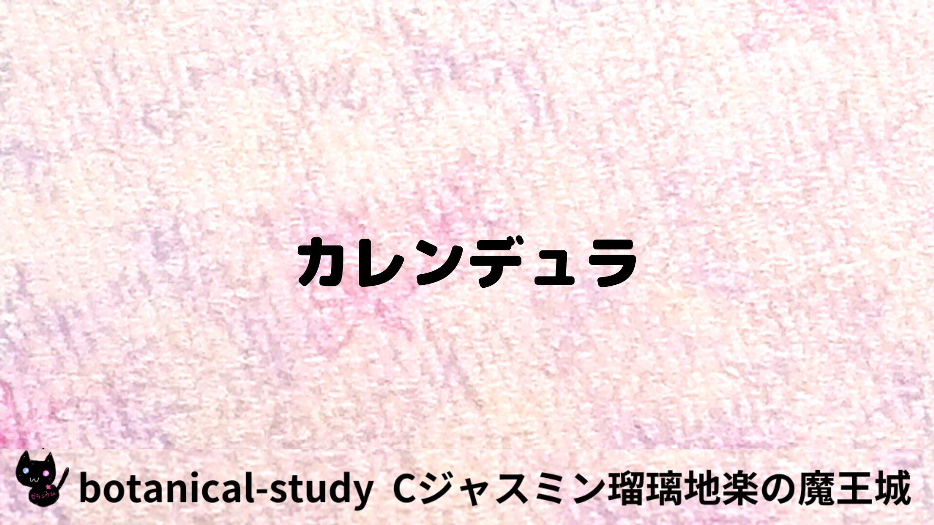 カレンデュラのアロマハーブプチ辞典用アイキャッチ＠botanical-study/ハーブ