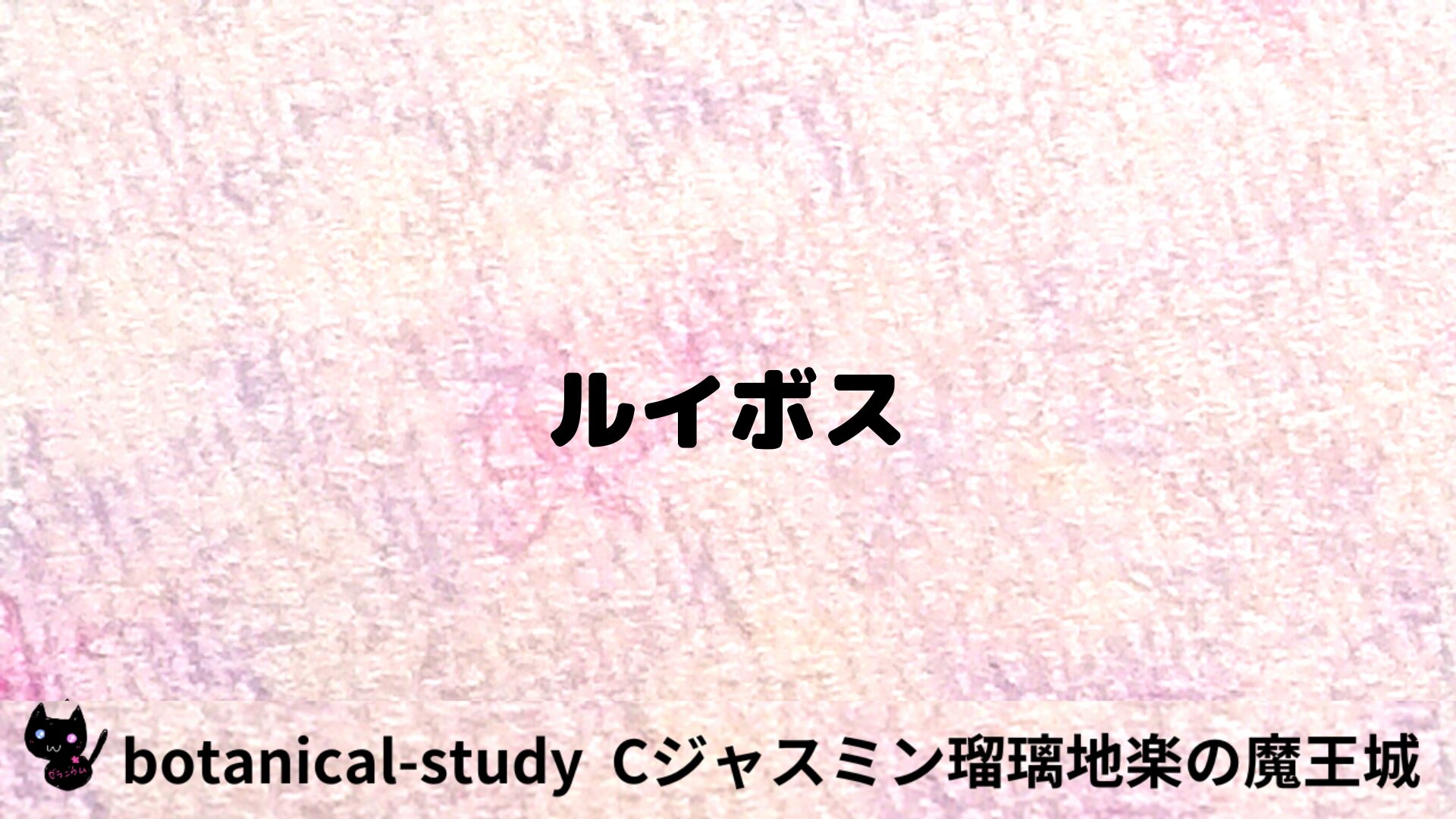 ルイボスのアロマハーブプチ辞典用アイキャッチ＠botanical-study/ハーブ