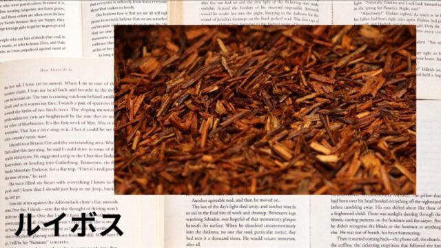 ルイボス：プチ辞典