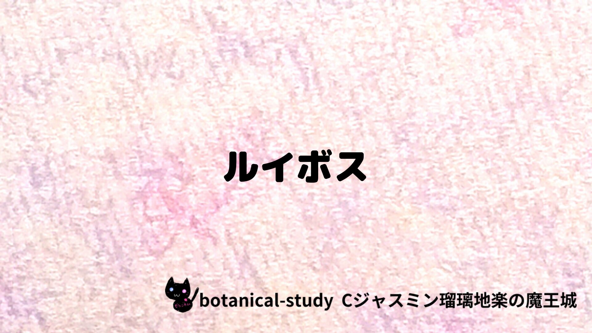 ルイボスのアロマハーブプチ辞典クイズ用アイキャッチ＠botanical-study/ハーブ