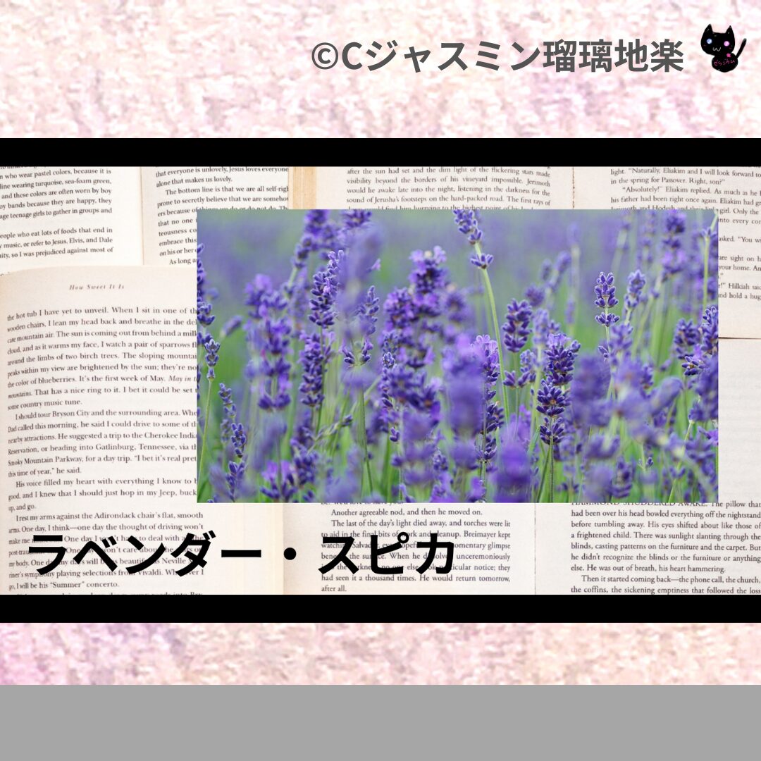 ラベンダー・スピカのアロマハーブプチ辞典クイズ用アイキャッチ＠botanical-study