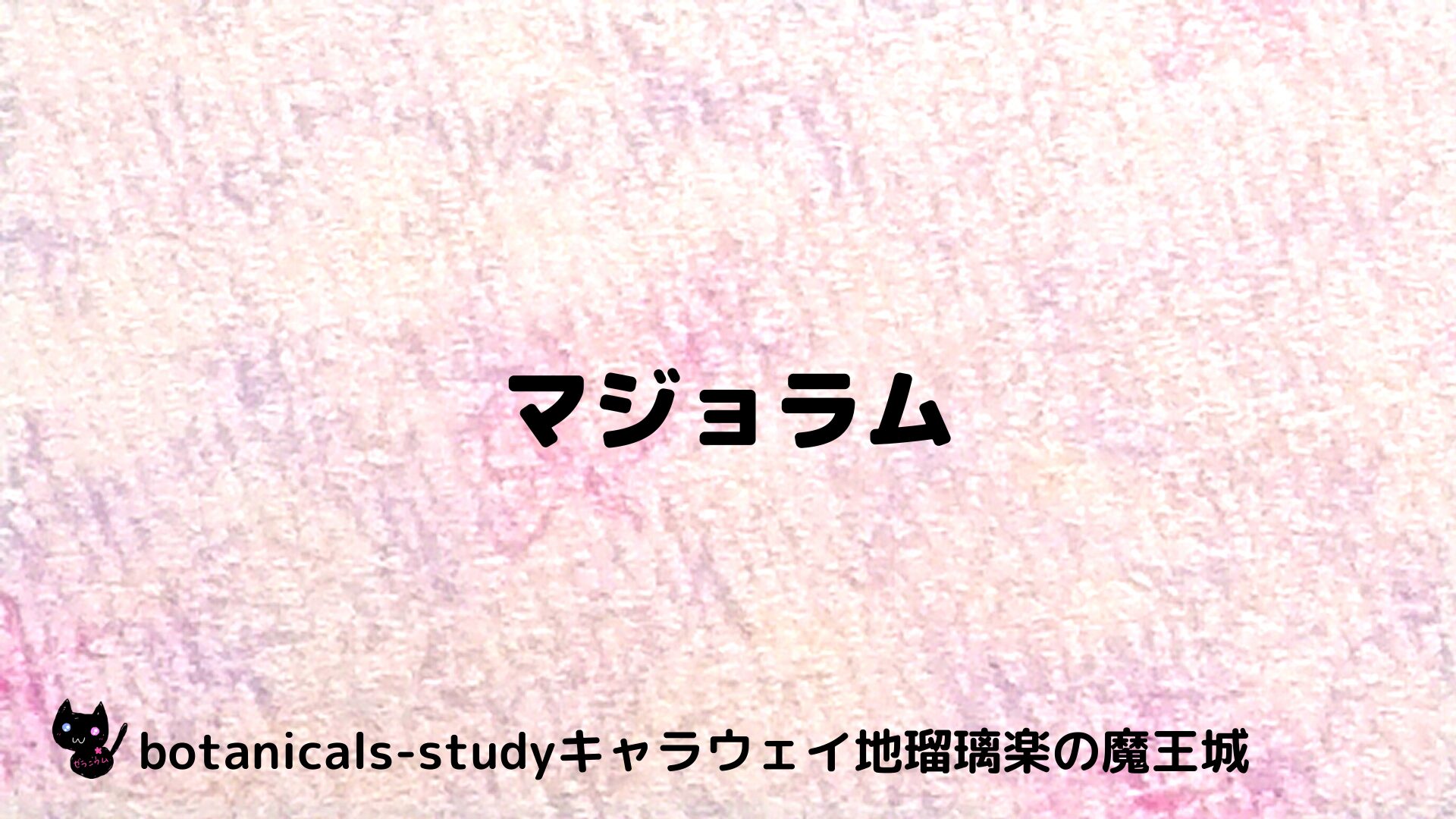 マジョラムのアロマハーブプチ辞典用アイキャッチ＠botanical-study/ハーブ