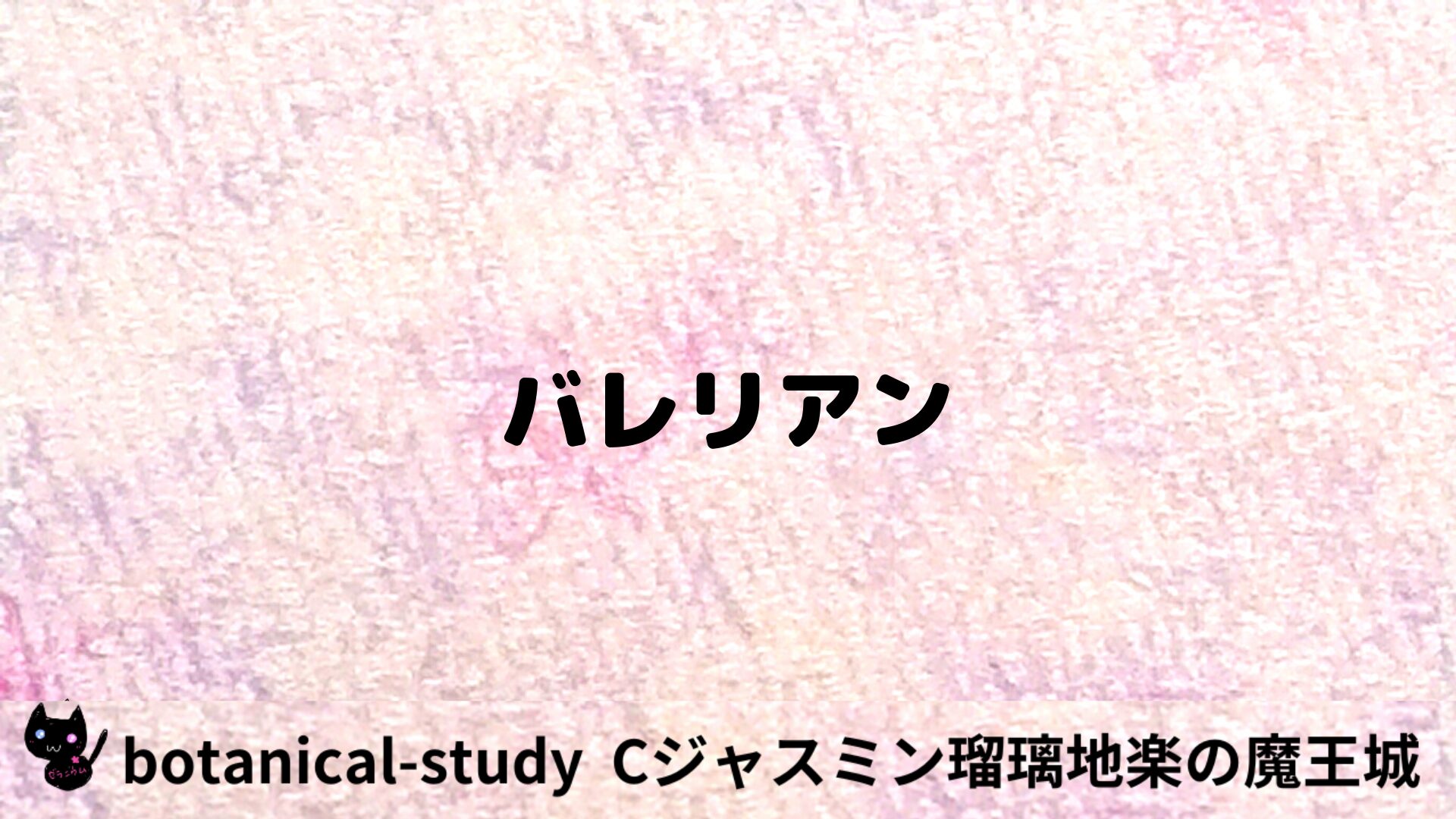 バレリアンのアロマハーブプチ辞典用アイキャッチ＠botanical-study/ハーブ