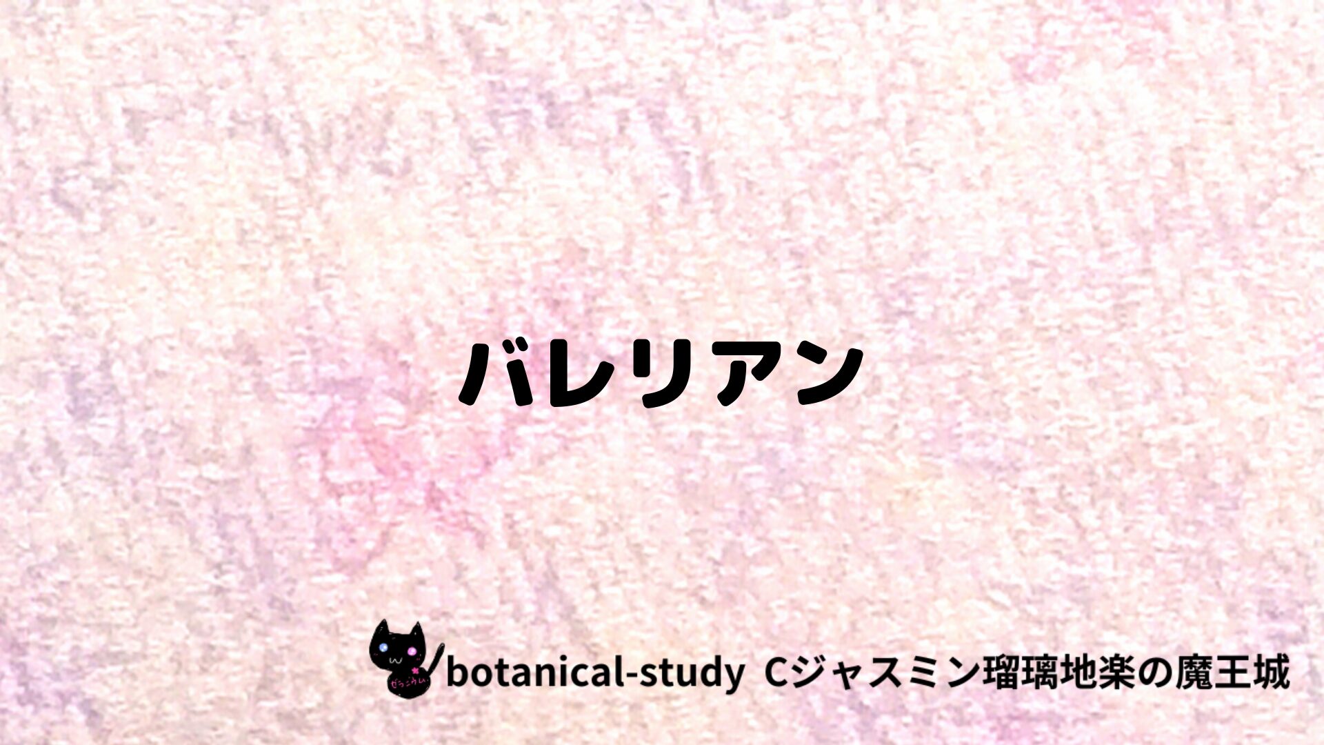 バレリアンのアロマハーブプチ辞典クイズ用アイキャッチ＠botanical-study/ハーブ