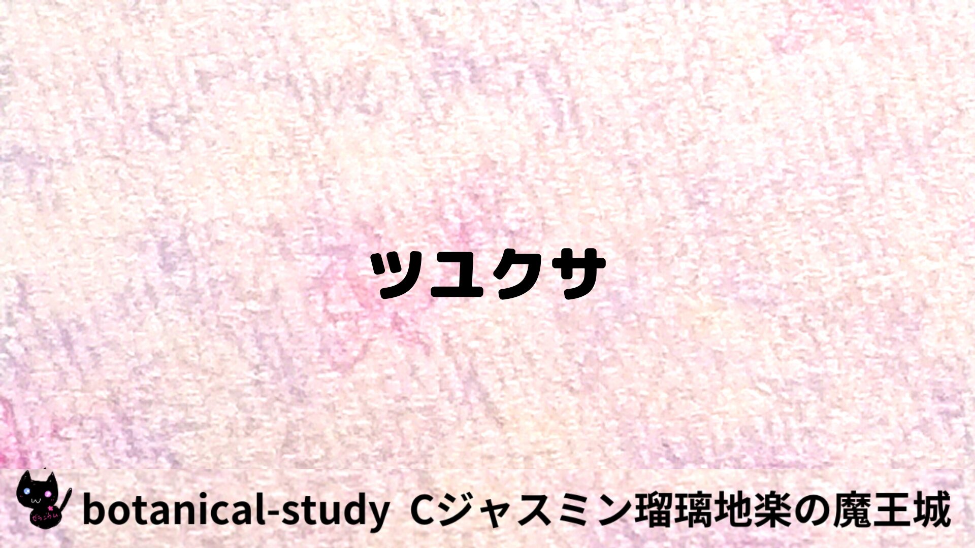 ツユクサのアロマハーブプチ辞典用アイキャッチ＠botanical-study/ハーブ