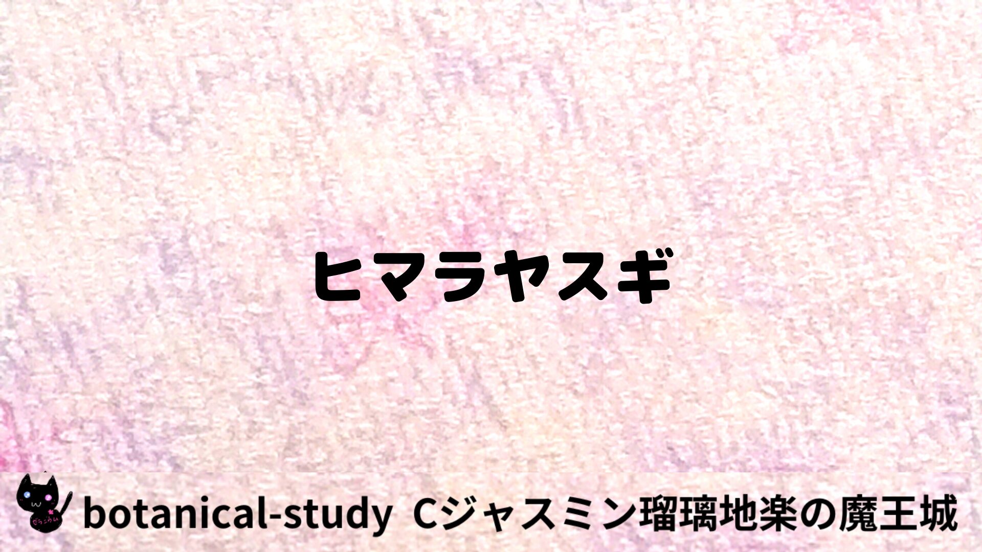 ヒマラヤスギのアロマハーブプチ辞典用アイキャッチ＠botanical-study