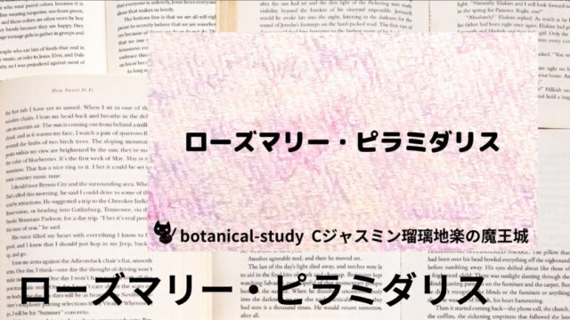 ローズマリー・ピラミダリス：プチ辞典