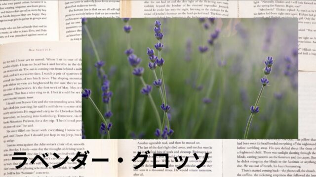 ラベンダー・グロッソ:プチ辞典