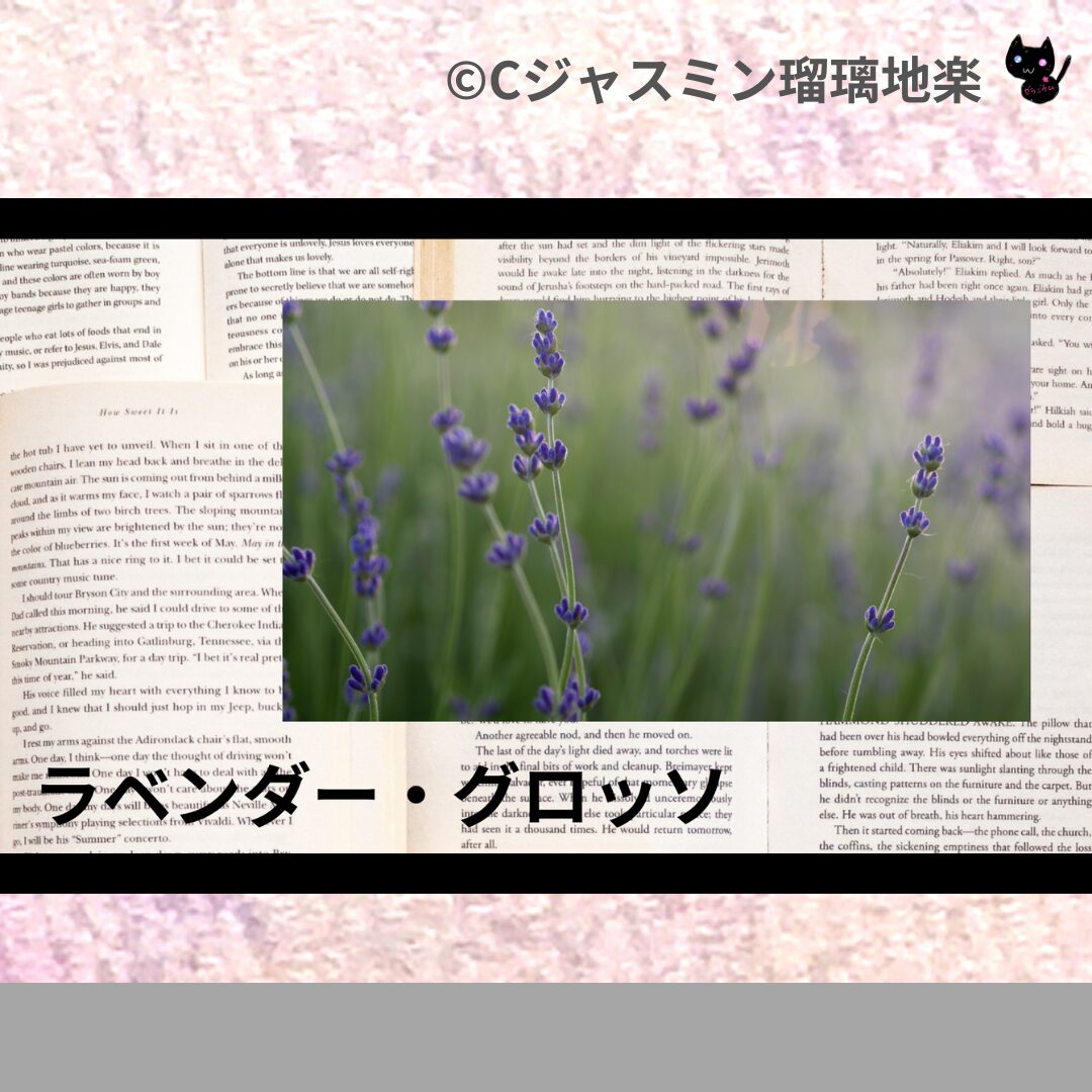 ラベンダー・グロッソのアロマハーブプチ辞典クイズ用アイキャッチ＠botanical-study