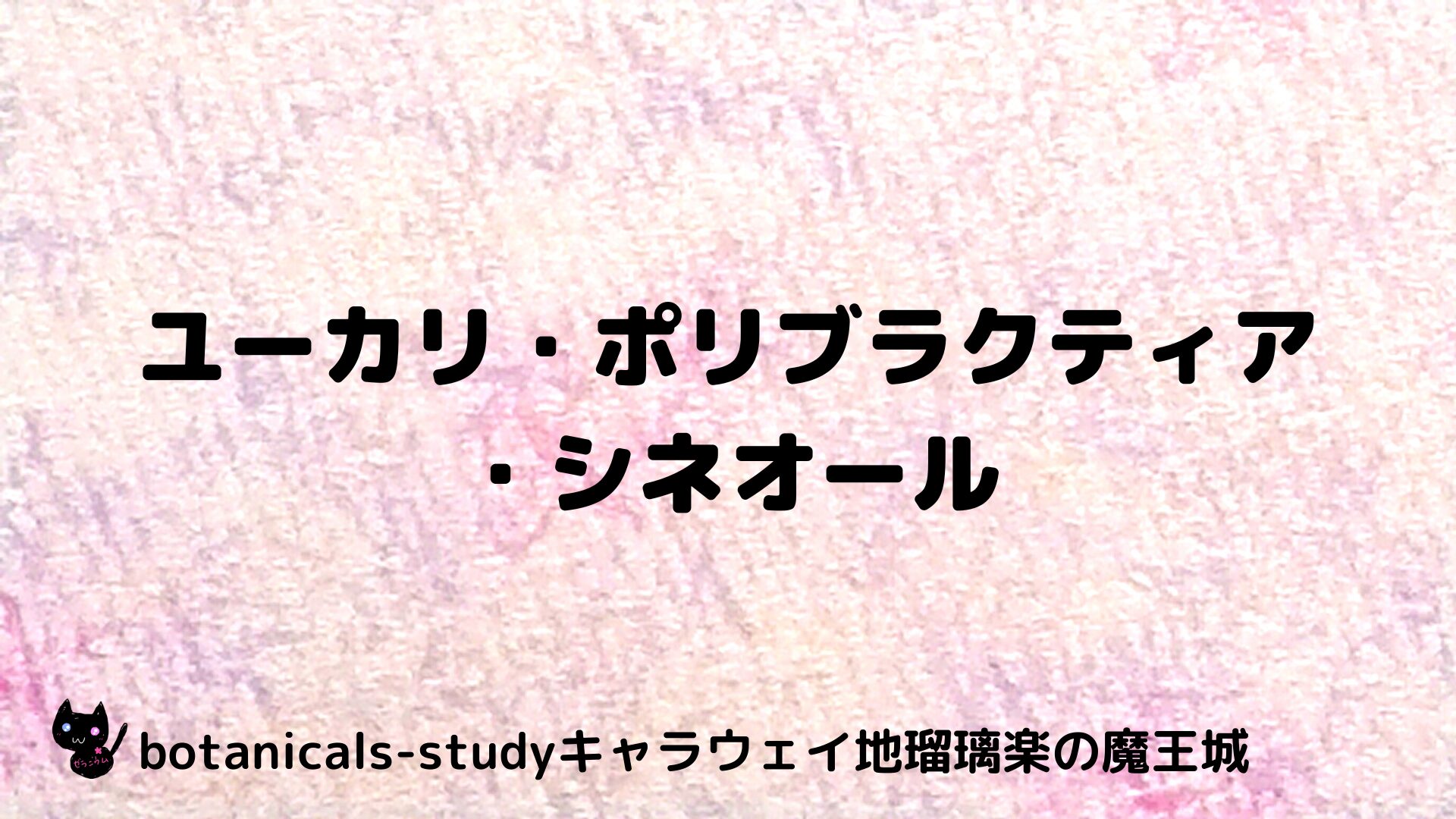 ユーカリ・ポリブラクティア・シネオールのアロマハーブプチ辞典用アイキャッチ＠botanical-study