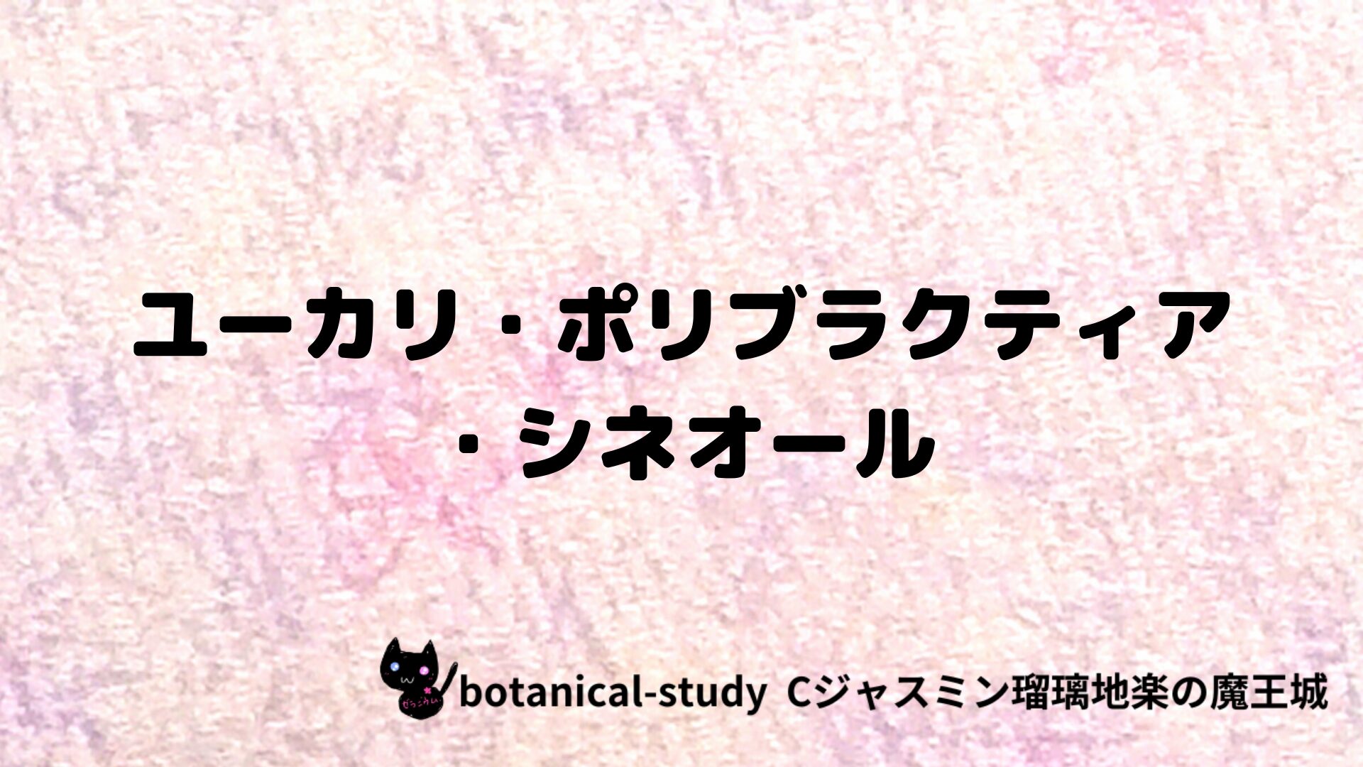 ユーカリ・ポリブラクティア・シネオールのアロマハーブプチ辞典クイズ用アイキャッチ＠botanical-study