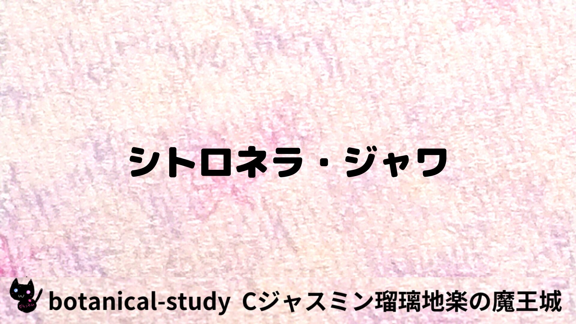 シトロネラ・ジャワのアロマハーブプチ辞典用アイキャッチ＠botanical-study