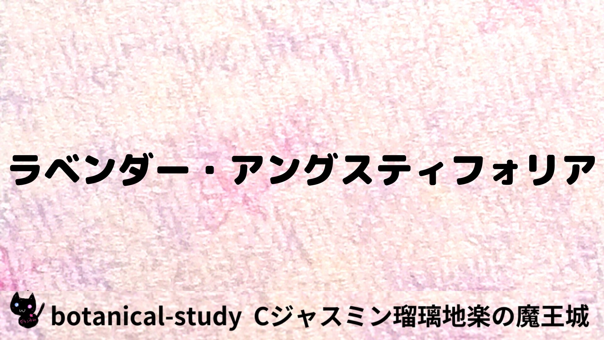 ラベンダー・アングスティフォリアのアロマハーブプチ辞典用アイキャッチ＠botanical-study