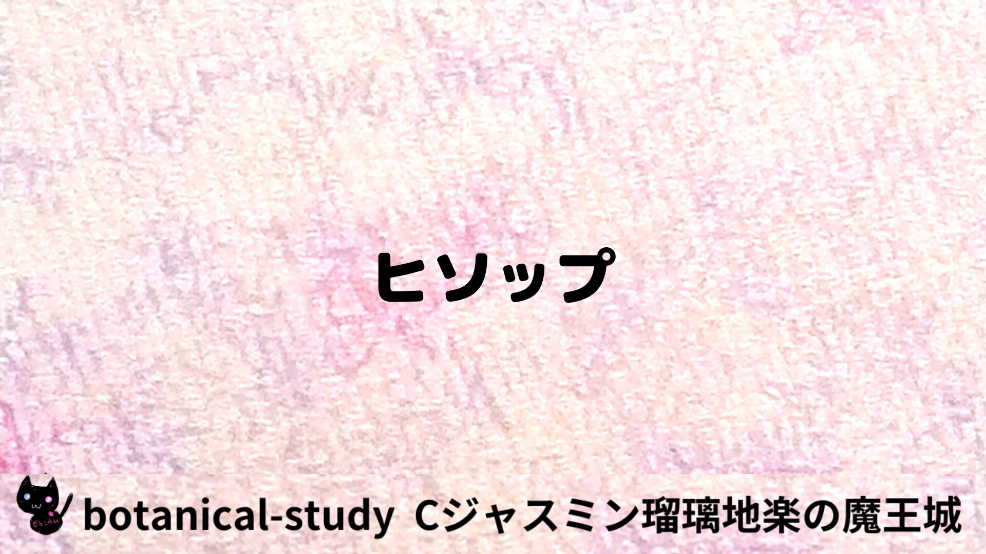 ヒソップのアロマハーブプチ辞典用アイキャッチ＠botanical-study