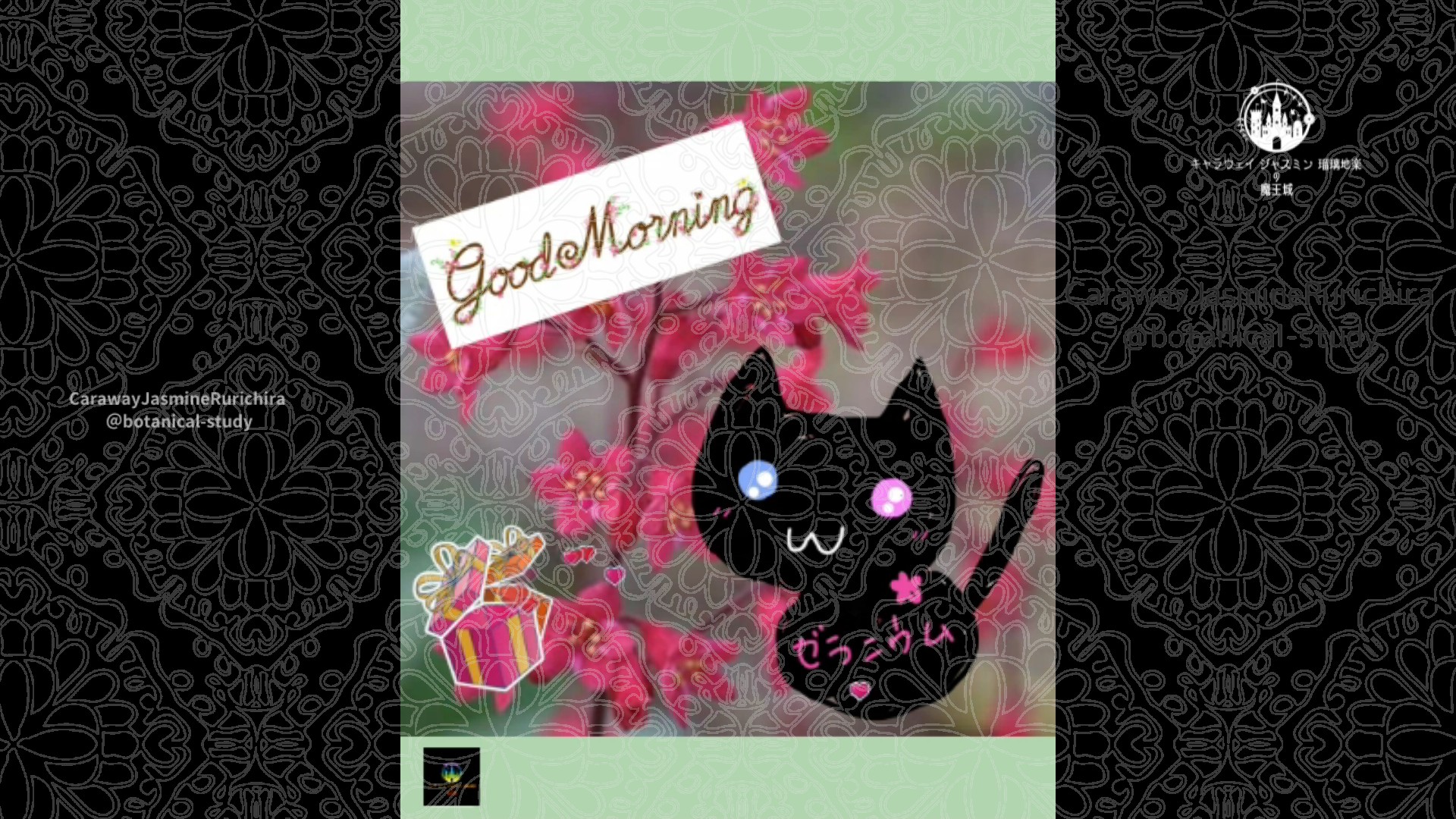 「ヒューケラ」3月13日Rゼラニウム瑠璃地楽と今日の誕生花とおはようメッセージ@botanical-study