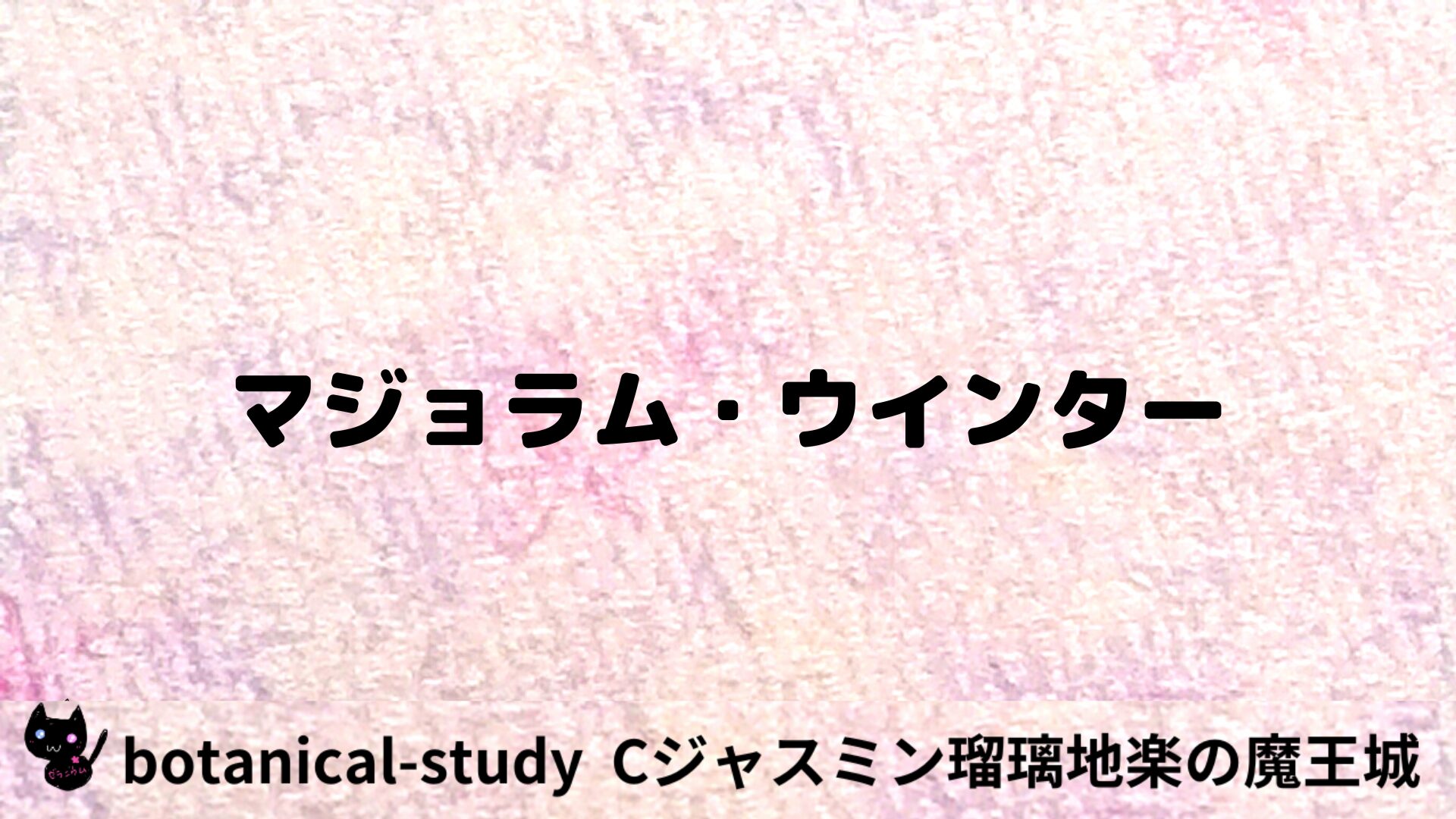 マジョラム・ウインターのアロマハーブプチ辞典用アイキャッチ＠botanical-study