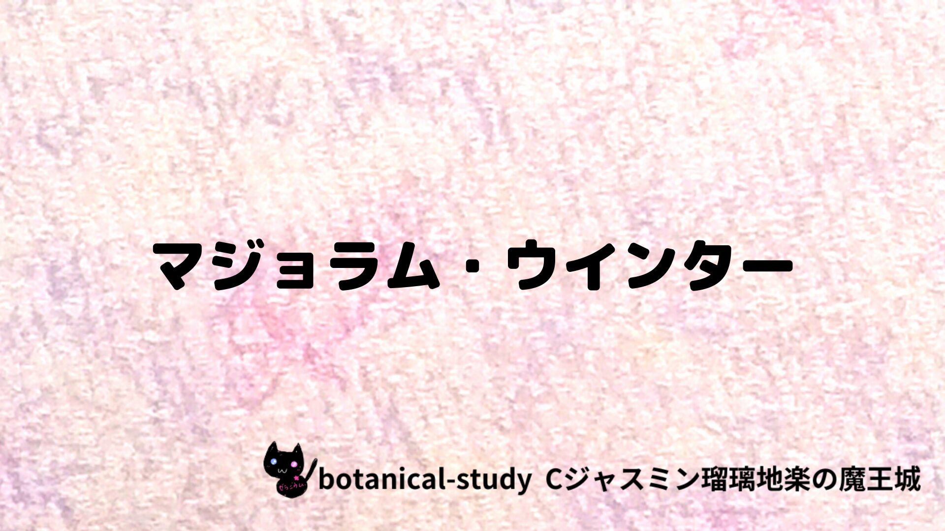 マジョラム・ウインターのアロマハーブプチ辞典クイズ用アイキャッチ＠botanical-study