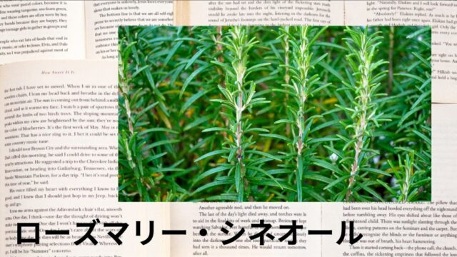 ローズマリー・シネオール：プチ辞典