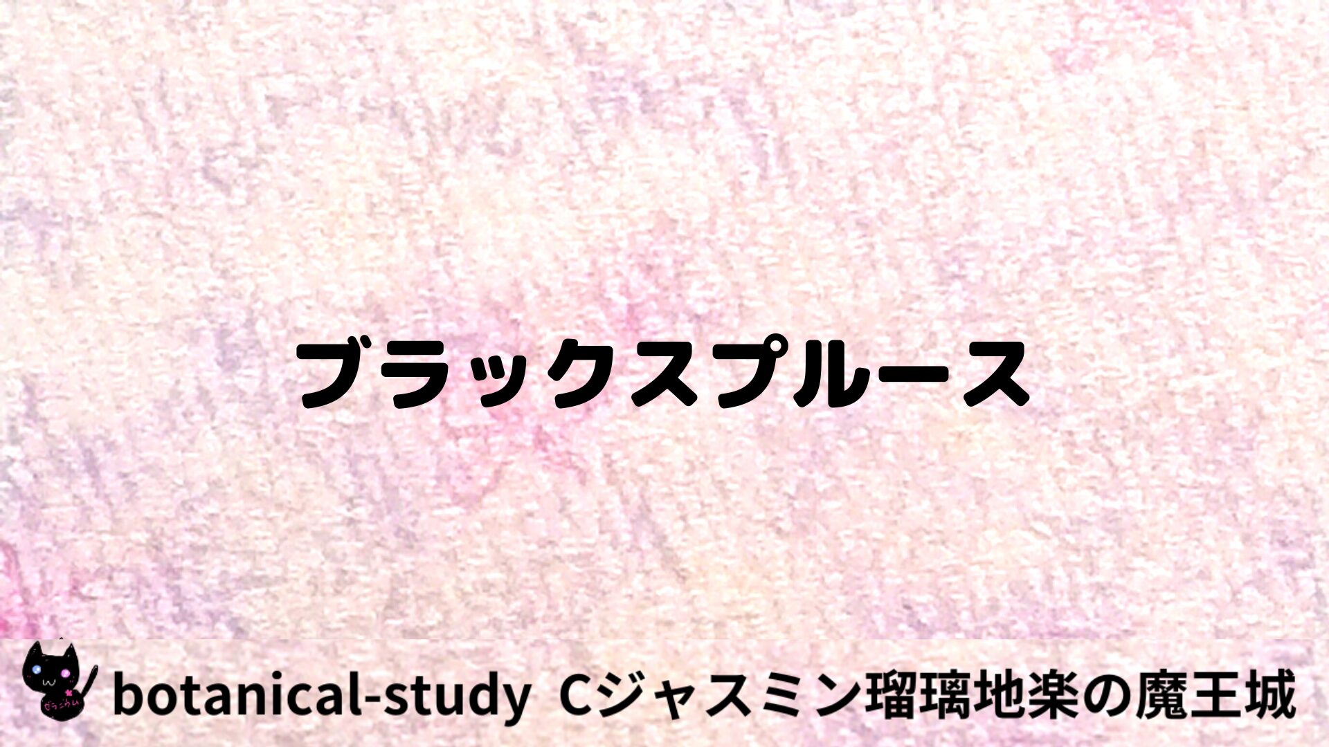 ブラックスプルースのアロマハーブプチ辞典用アイキャッチ＠botanical-study