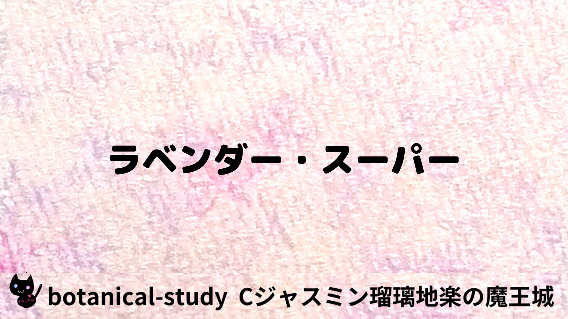 ラベンダー・スーパーのアロマハーブプチ辞典用アイキャッチ＠botanical-study