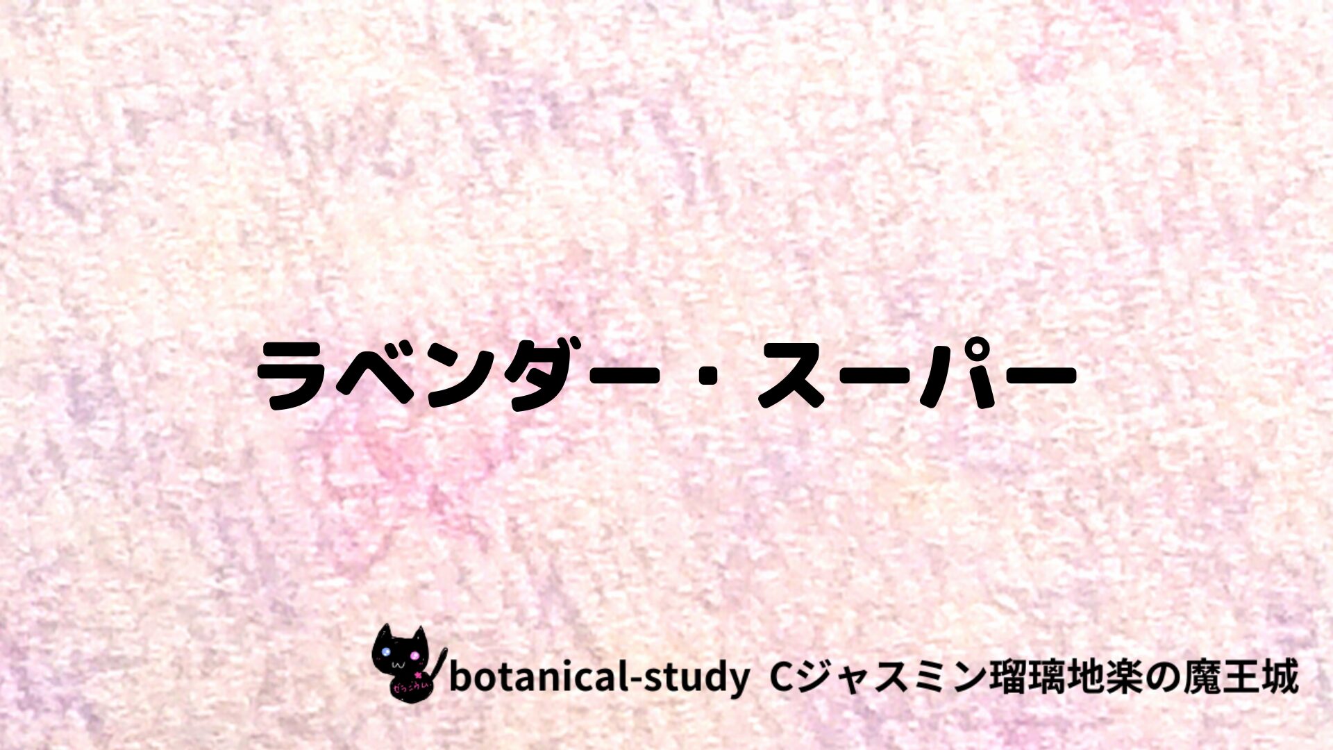 ラベンダー・スーパーのアロマハーブプチ辞典クイズ用アイキャッチ＠botanical-study