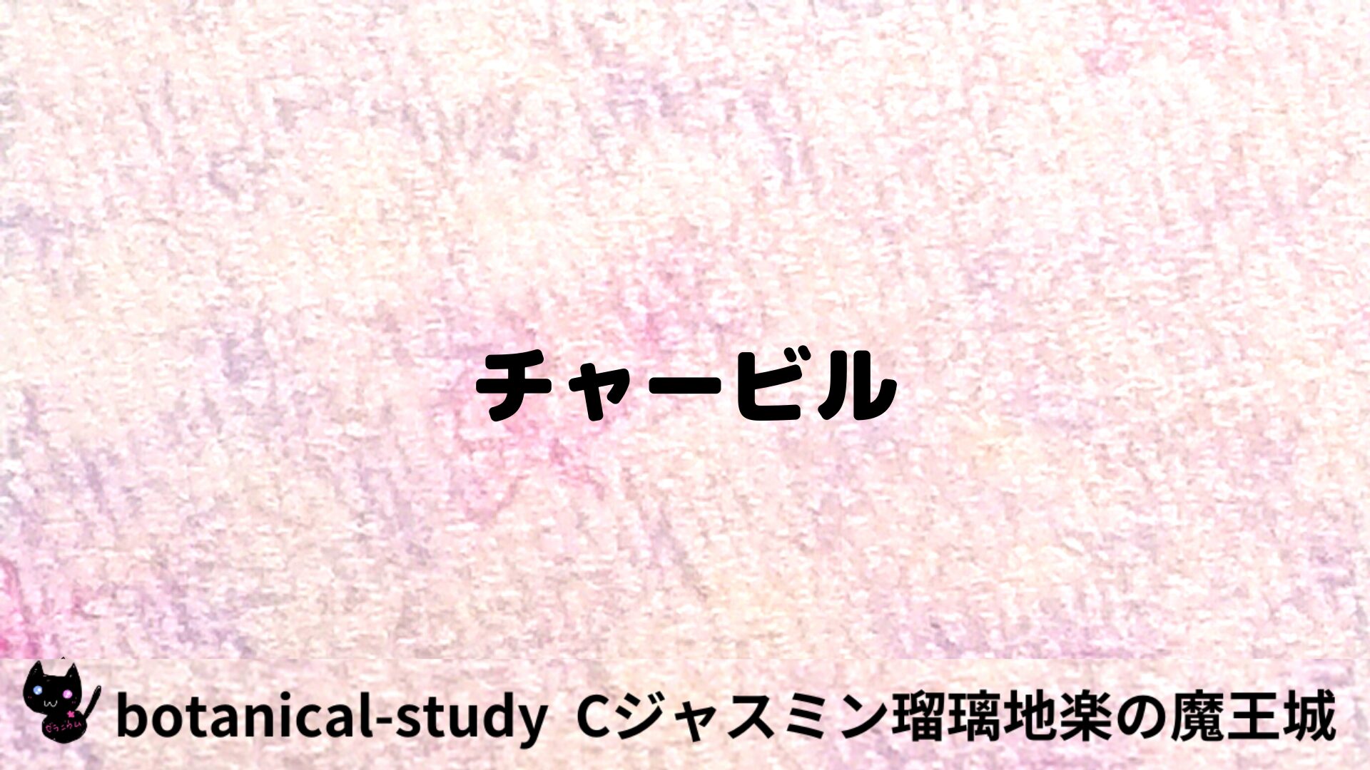 チャービルのアロマハーブプチ辞典用アイキャッチ＠botanical-study/ハーブ