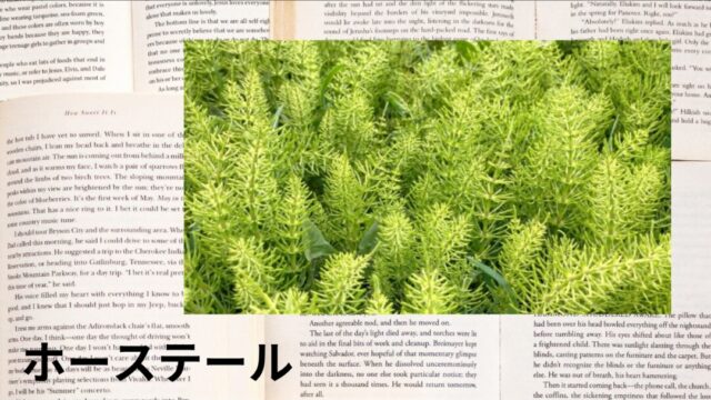 ホーステール:プチ辞典