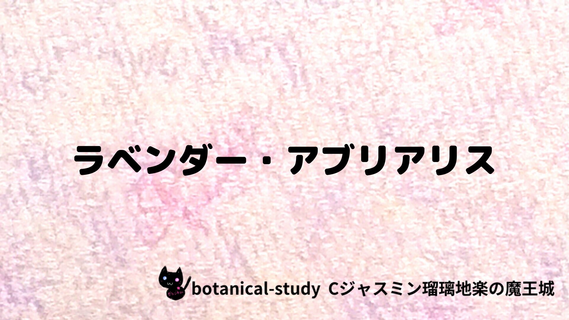 ラベンダー・アブリアリスのアロマハーブプチ辞典クイズ用アイキャッチ＠botanical-study