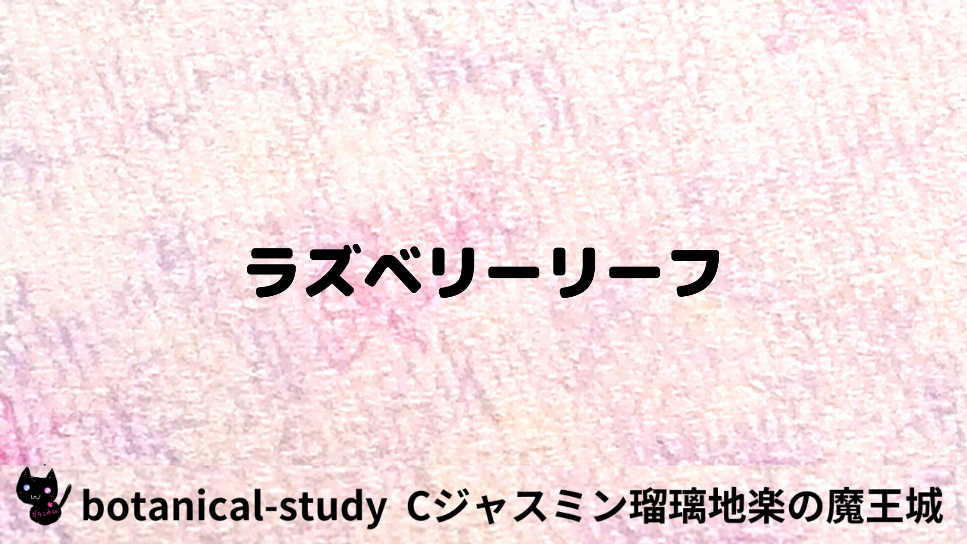 ラズベリーリーフのアロマハーブプチ辞典用アイキャッチ＠botanical-study/ハーブ