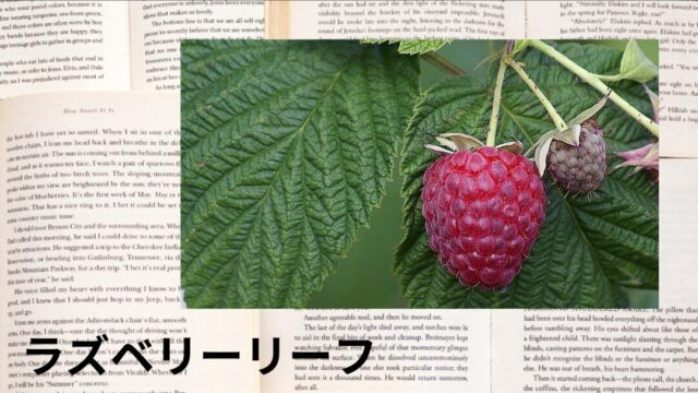 ラズベリーリーフ:プチ辞典