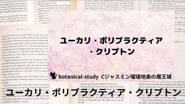 ユーカリ・ポリブラクティア・クリプトン：プチ辞典