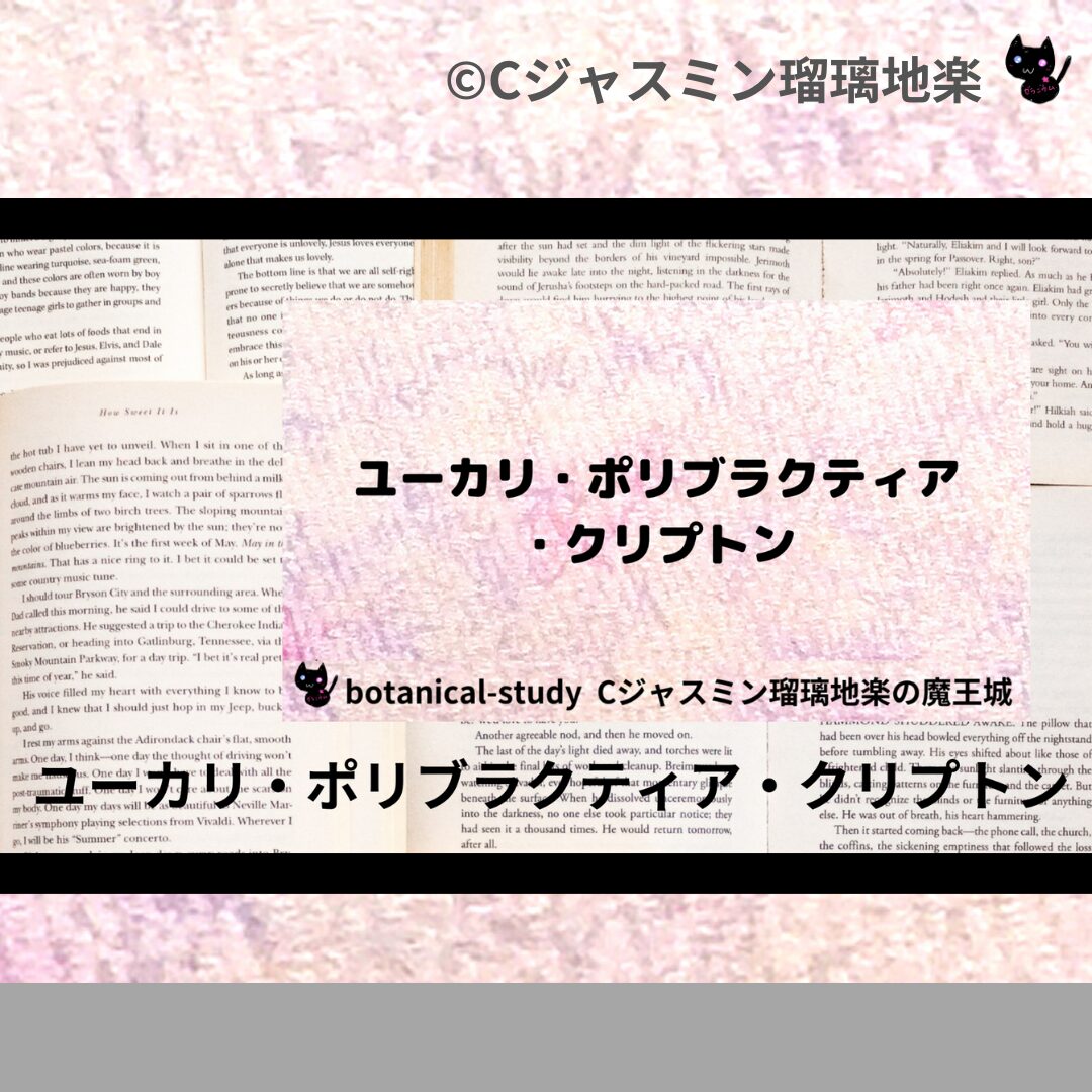 ユーカリ・ポリブラクティア・クリプトンのアロマハーブプチ辞典クイズ用アイキャッチ＠botanical-study